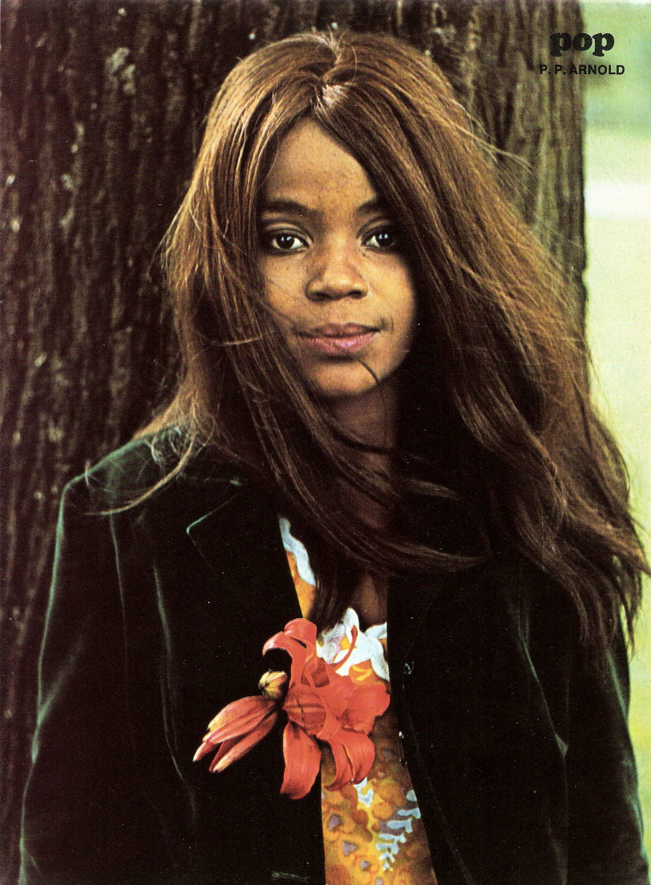  Eric Bachmann Fotoarchiv, Hits à Gogo