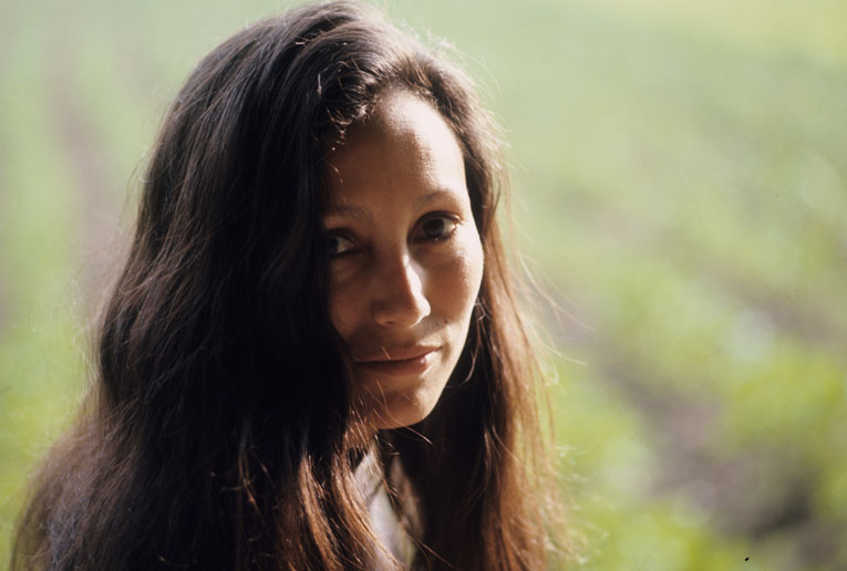  Eric Bachmann Fotoarchiv, Hits à Gogo