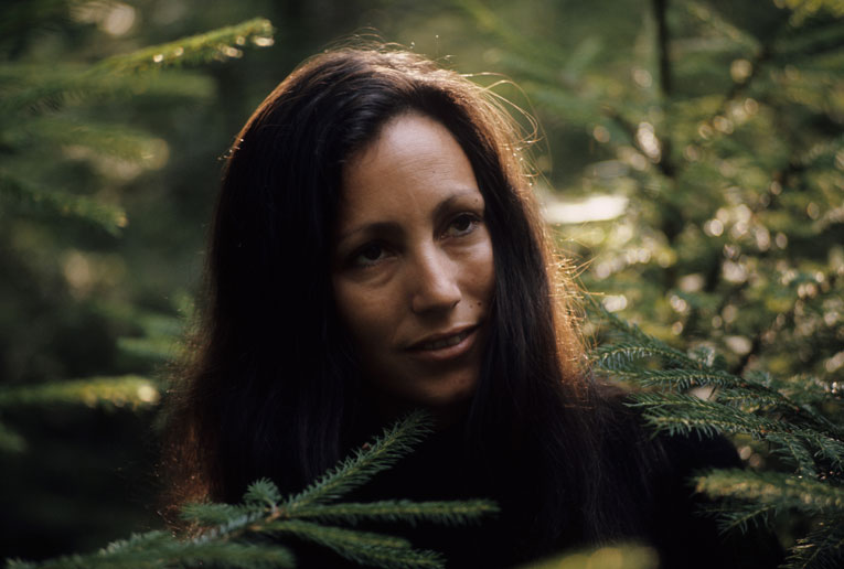  Eric Bachmann Fotoarchiv, Hits à Gogo