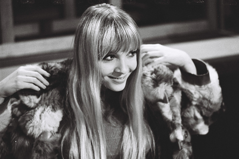  Eric Bachmann Fotoarchiv, Hits à Gogo