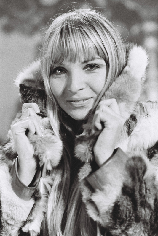  Eric Bachmann Fotoarchiv, Hits à Gogo