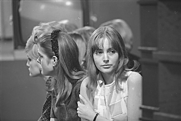  Eric Bachmann Fotoarchiv, Hits à Gogo